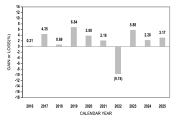 PerformanceBarChartData(2016:0.21,2017:4.35,2018:0.69,2019:6.84,2020:3.8,2021:2.16,2022:-9.74,2023:5.88,2024:2.28,2025:3.17)