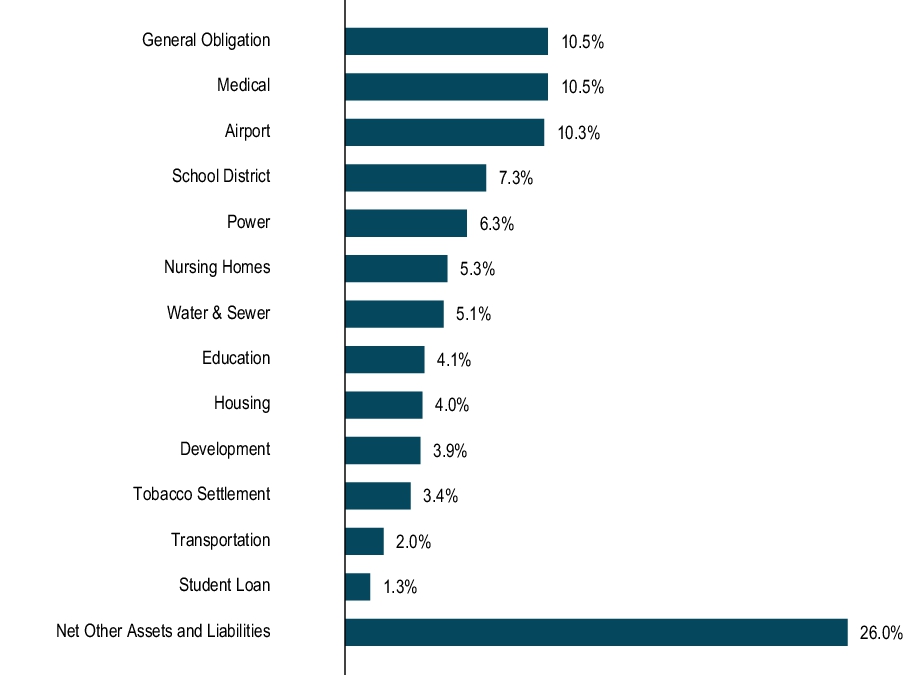 Graphical Representation - Top N Holdings Chart