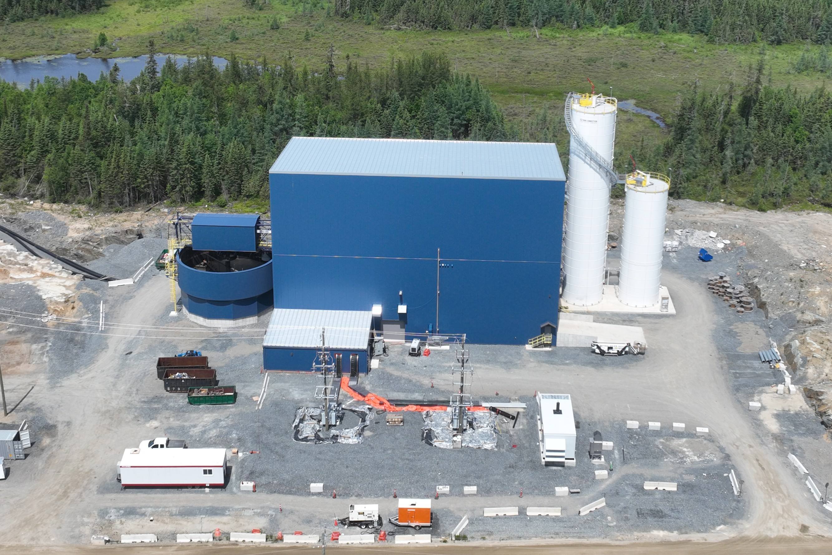 islandgoldpasteplant_july2.jpg