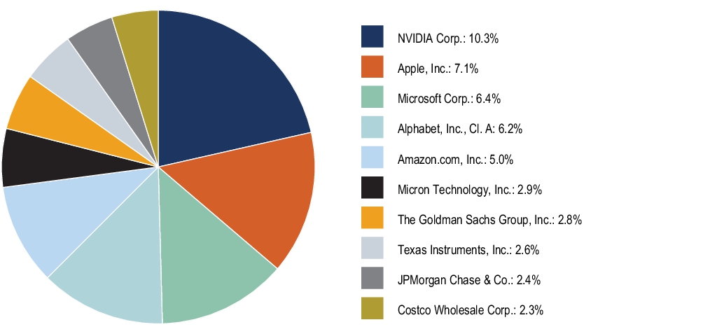 Graphical Representation - Top N Holdings Chart