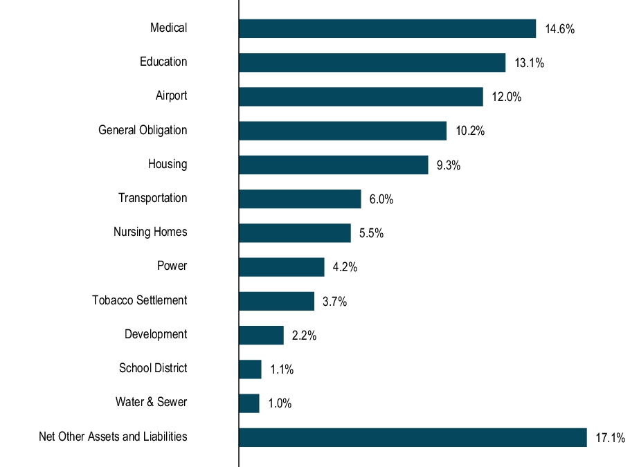 Graphical Representation - Top N Holdings Chart