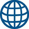 (Globe Icon)