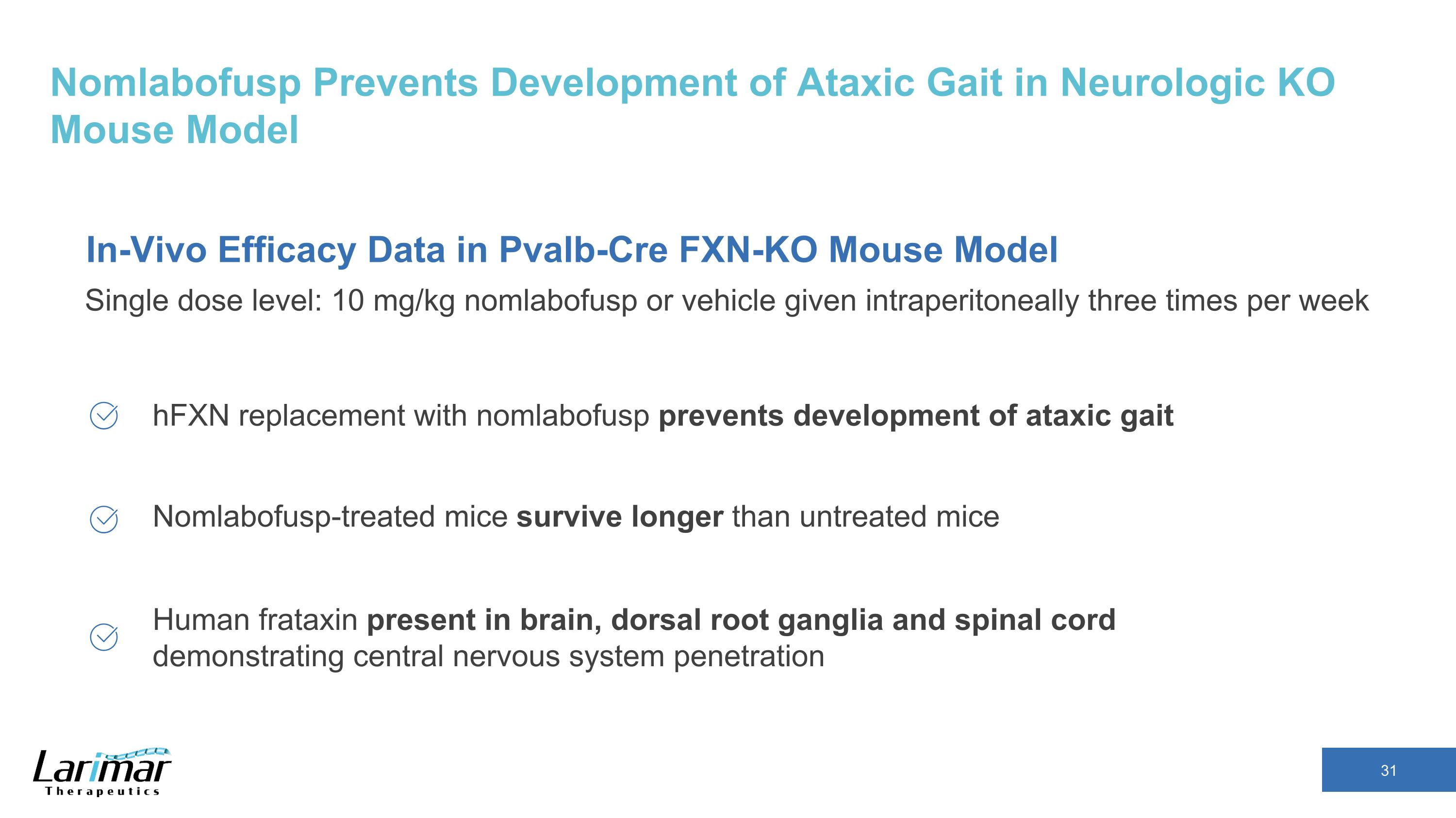 Slide 31