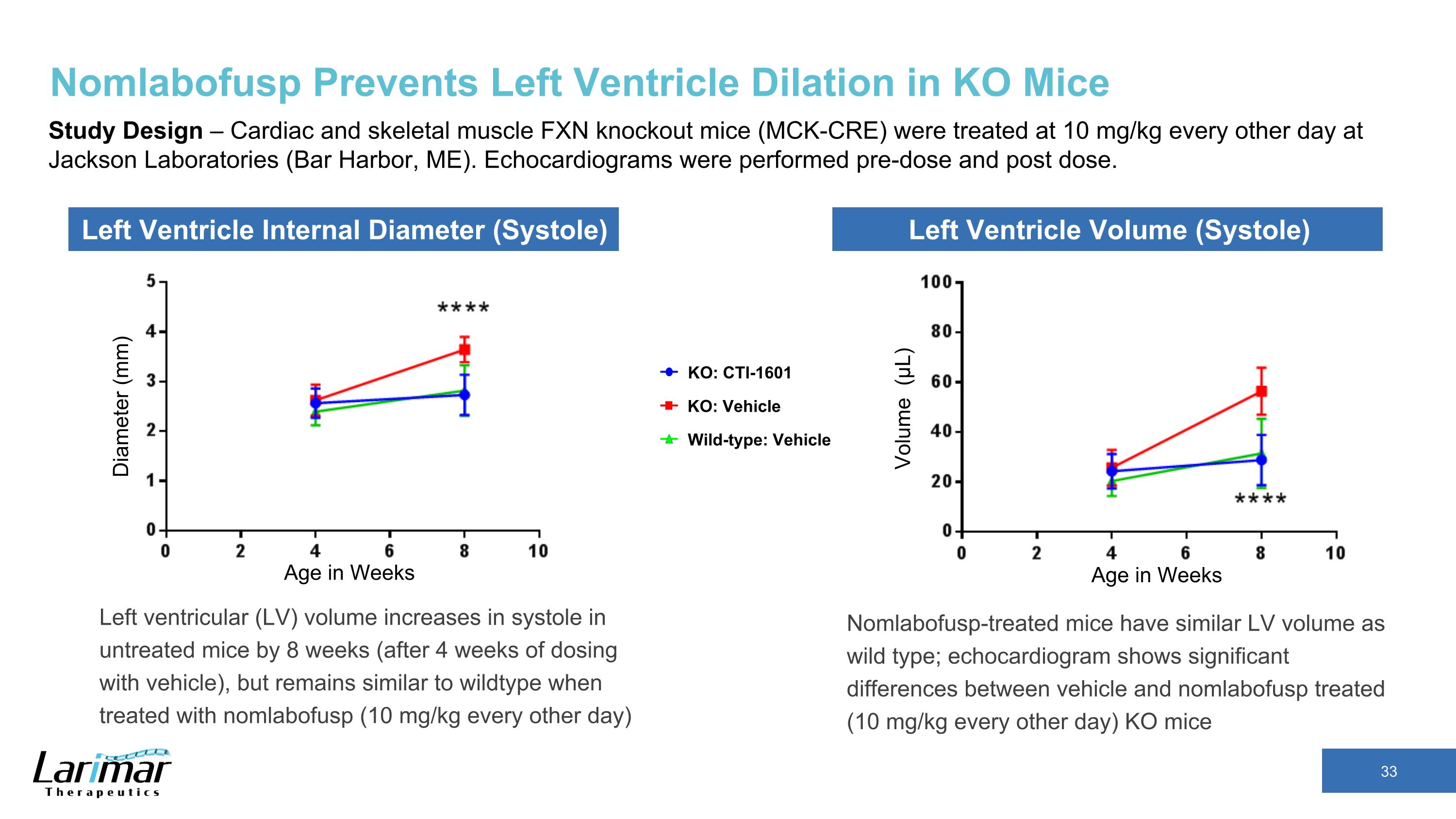 Slide 33