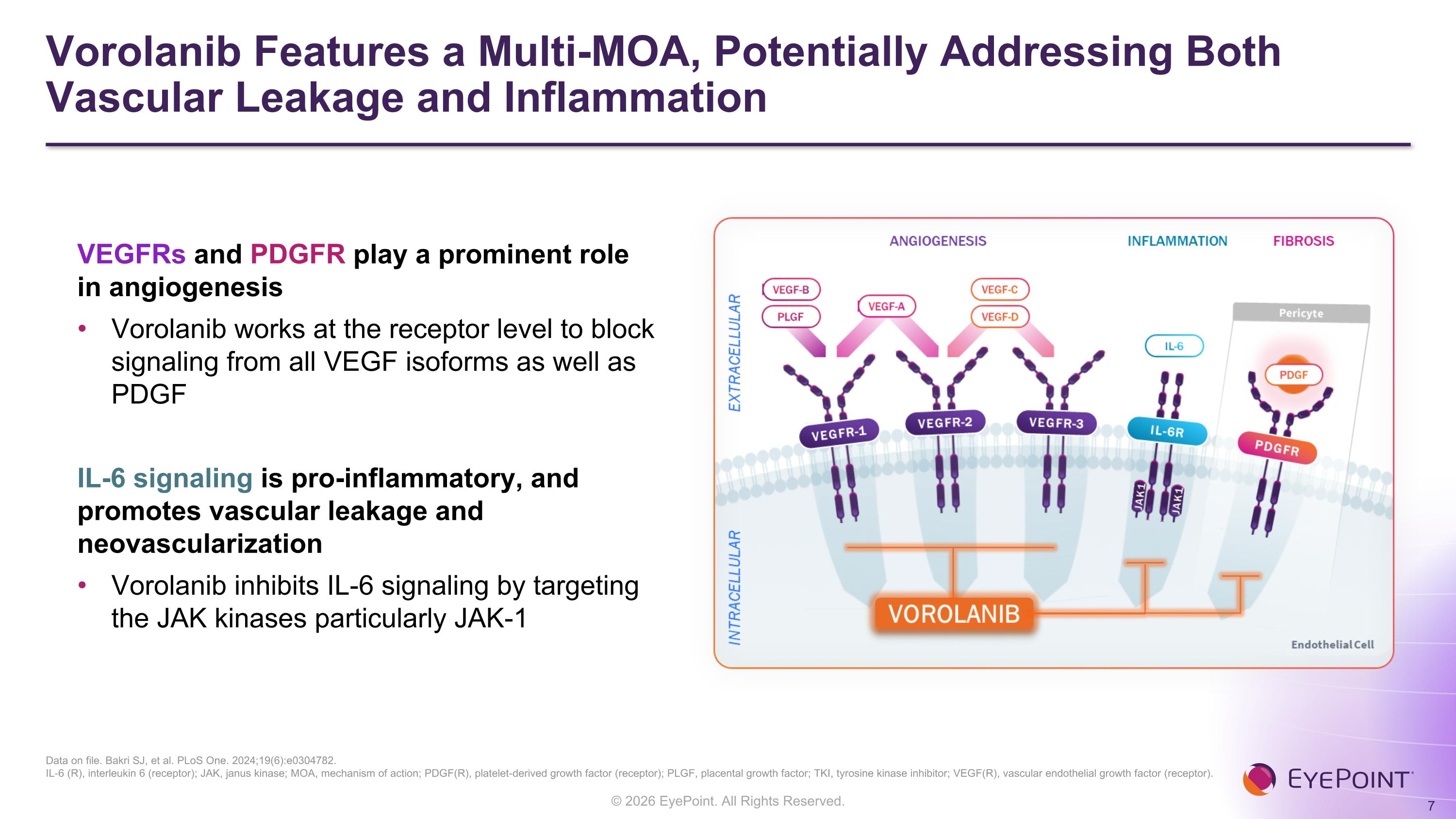 Slide 7