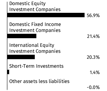 Graphical Representation - Allocation 1 Chart