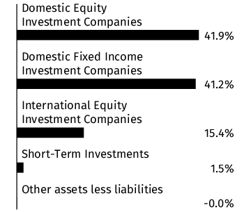 Graphical Representation - Allocation 1 Chart