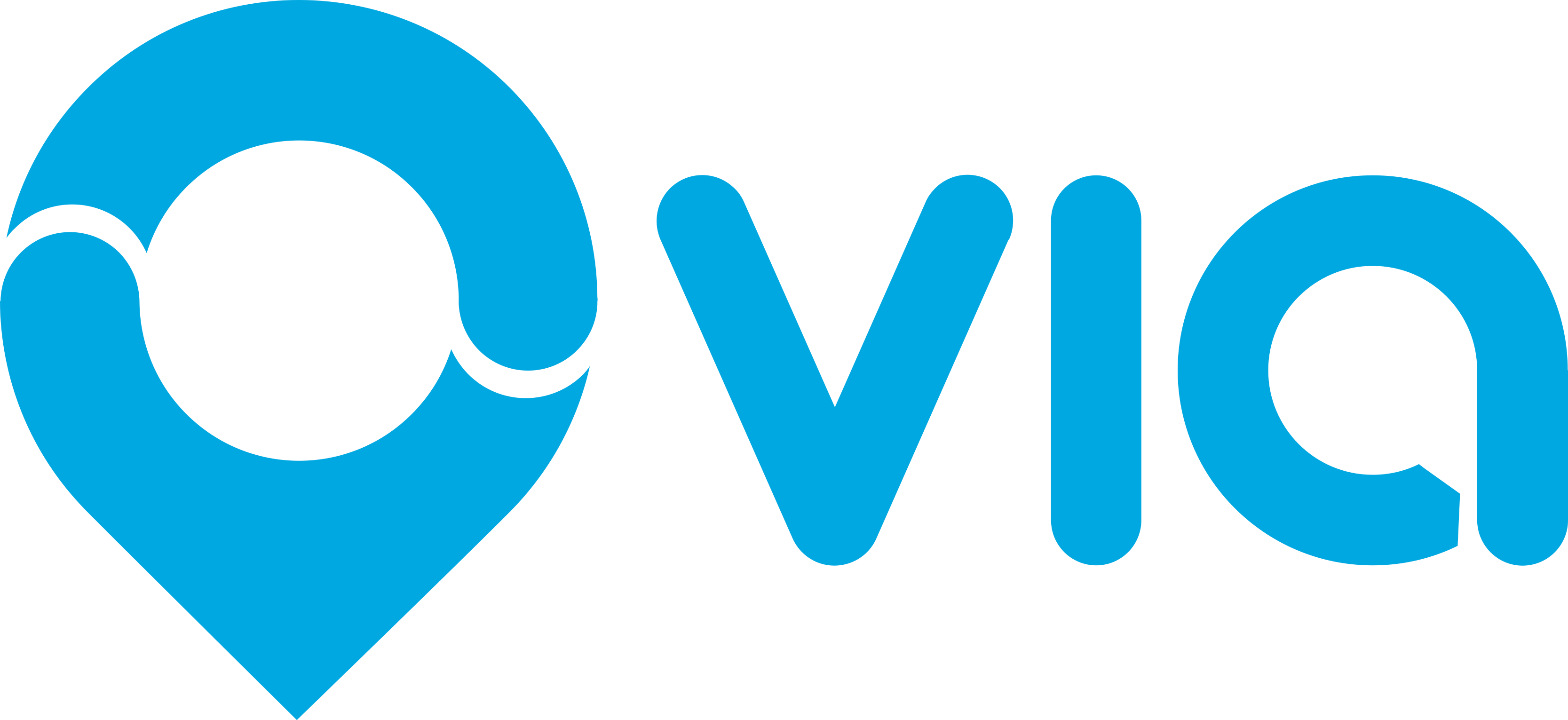 vialogoa.jpg