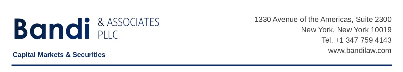 Bandi and Associates PLLC letterhead