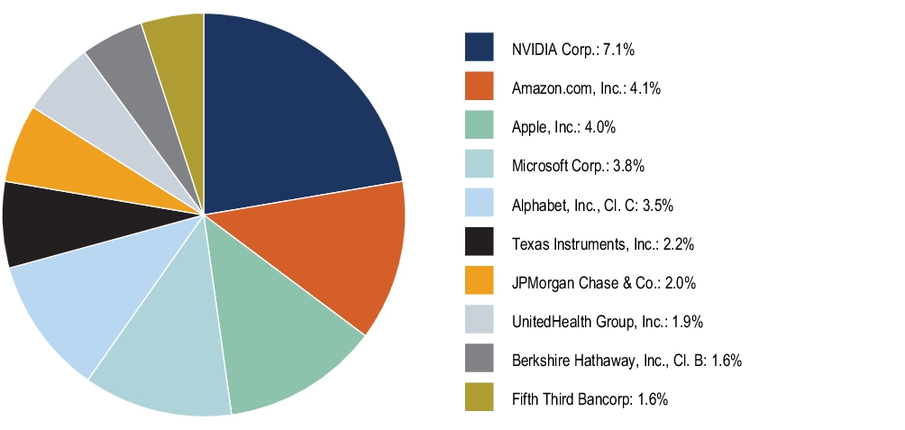Graphical Representation - Top N Holdings Chart