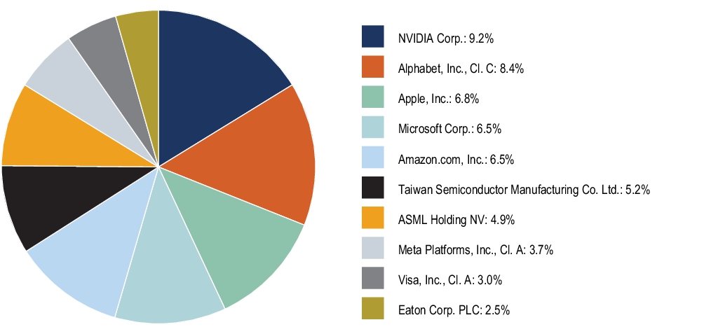 Graphical Representation - Top N Holdings Chart