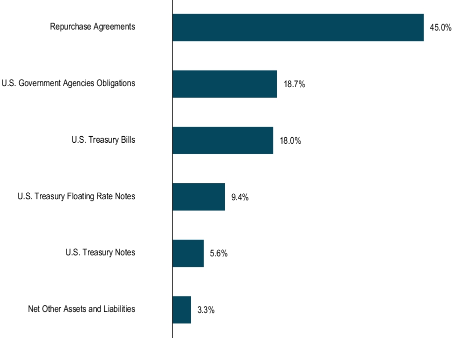 Graphical Representation - Top N Holdings Chart