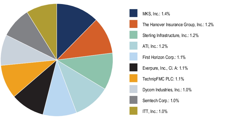 Graphical Representation - Top N Holdings Chart