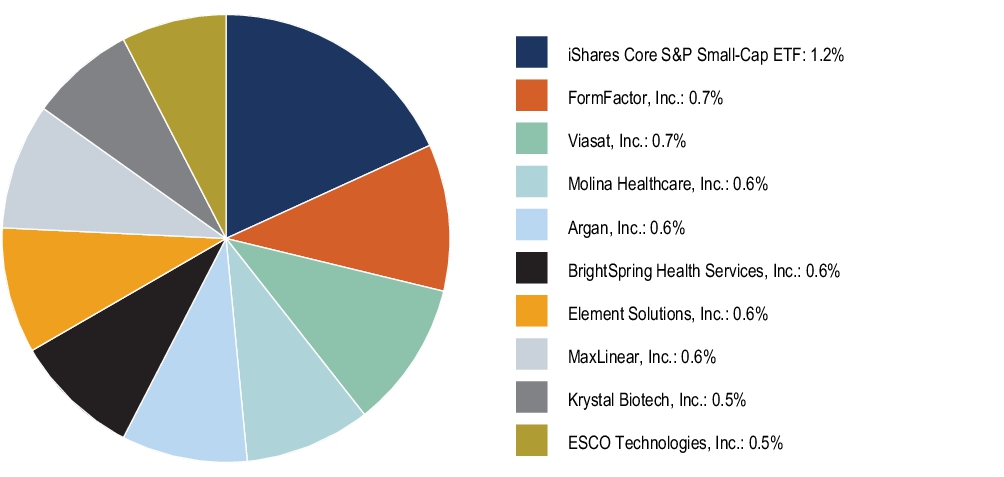 Graphical Representation - Top N Holdings Chart