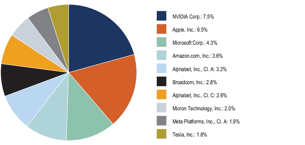 Graphical Representation - Top N Holdings Chart