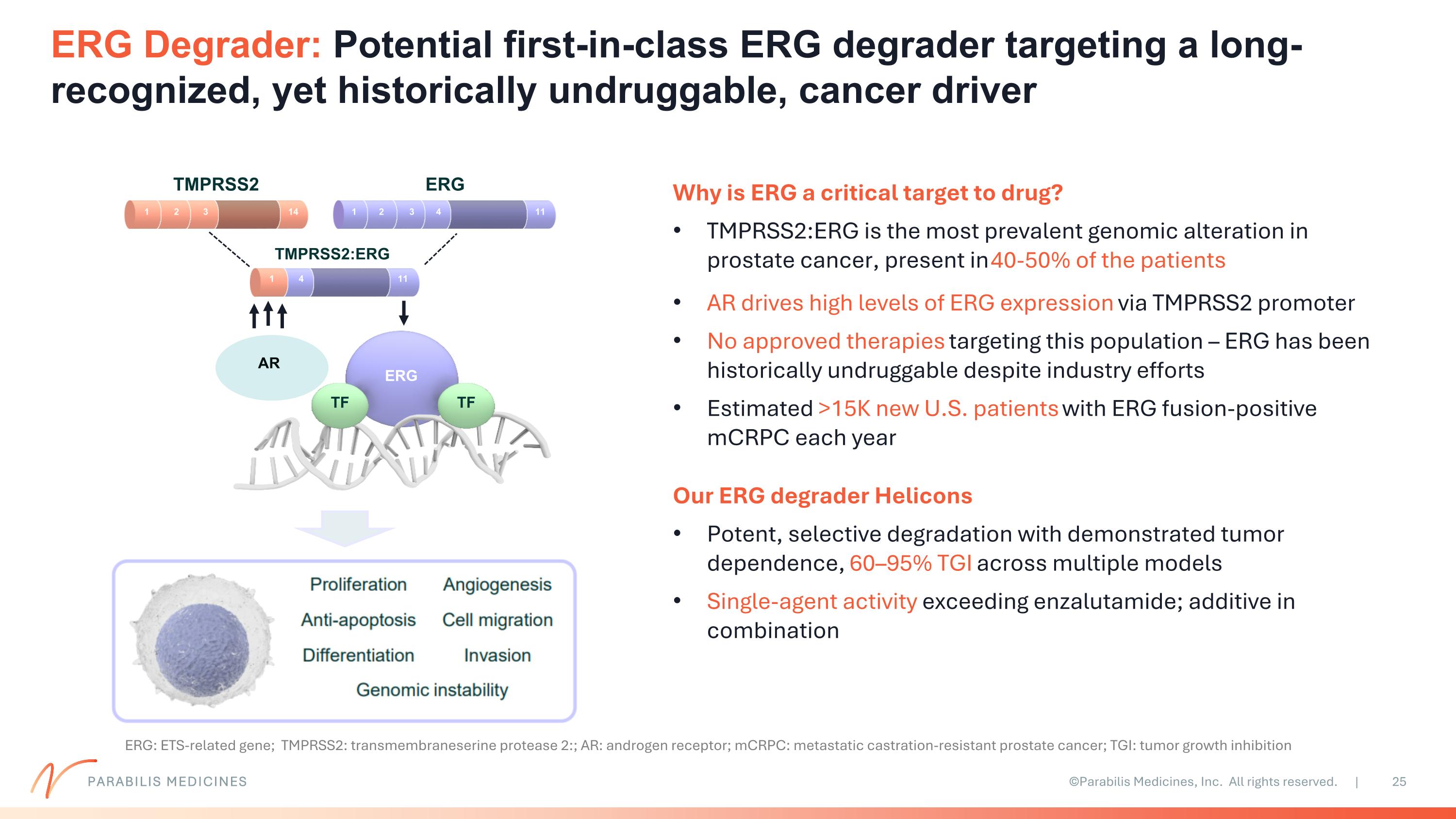 Slide 25