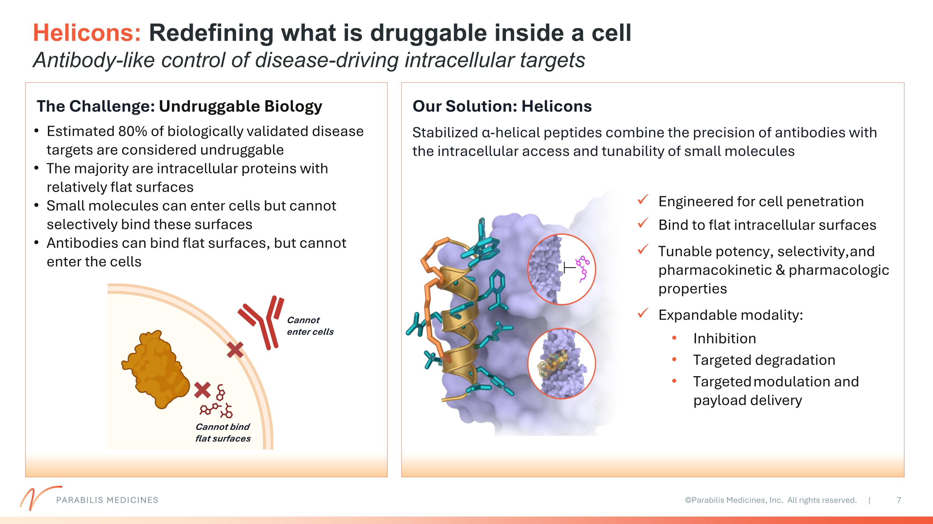 Slide 7