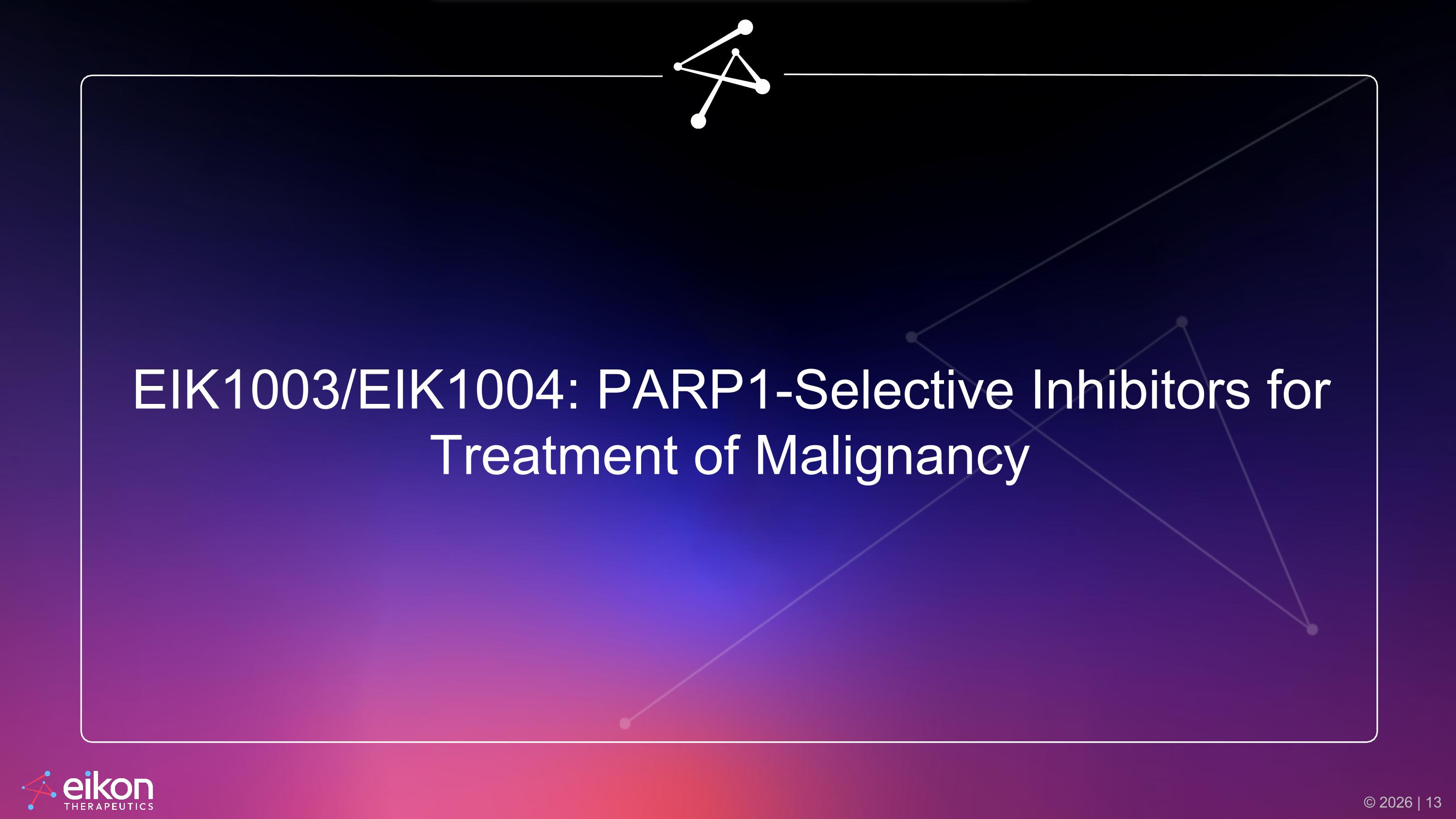 Slide 13