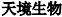 img207727030_3.jpg