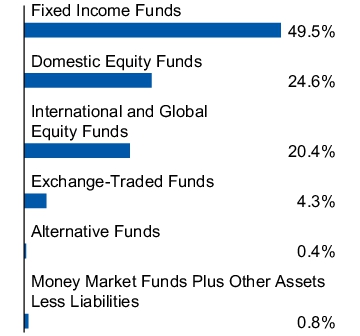 Graphical Representation - Allocation 1 Chart