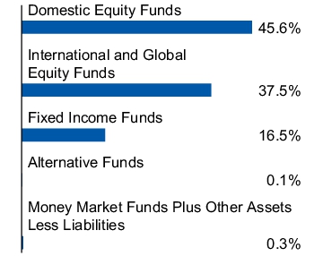 Graphical Representation - Allocation 1 Chart