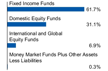 Graphical Representation - Allocation 1 Chart