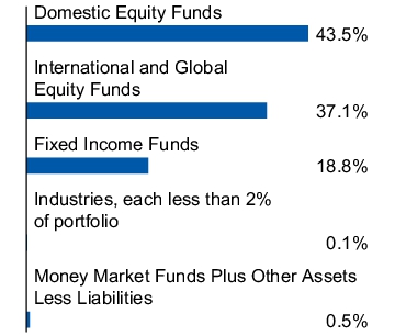 Graphical Representation - Allocation 1 Chart