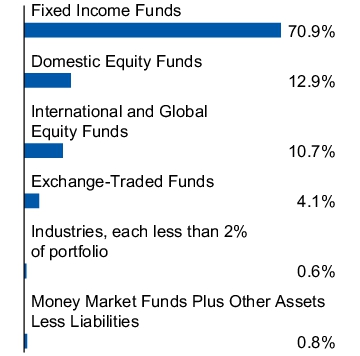 Graphical Representation - Allocation 1 Chart