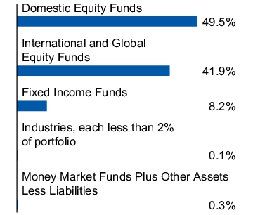 Graphical Representation - Allocation 1 Chart