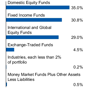 Graphical Representation - Allocation 1 Chart