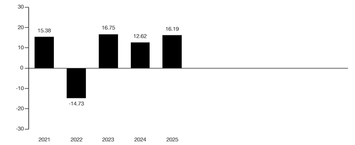 PerformanceBarChartData(2021:15.38,2022:-14.73,2023:16.75,2024:12.62,2025:16.19)
