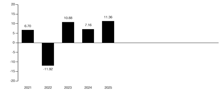 PerformanceBarChartData(2021:6.7,2022:-11.92,2023:10.88,2024:7.16,2025:11.36)