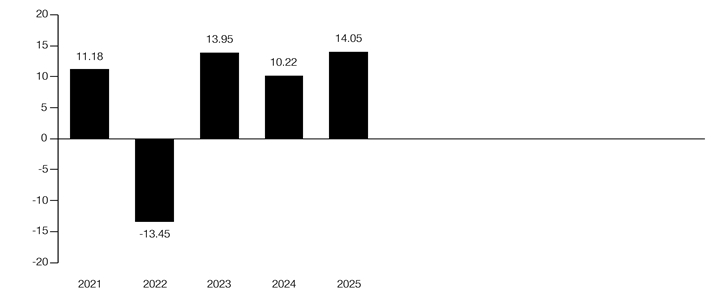 PerformanceBarChartData(2021:11.18,2022:-13.45,2023:13.95,2024:10.22,2025:14.05)