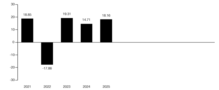 PerformanceBarChartData(2021:18.85,2022:-17.86,2023:19.31,2024:14.71,2025:18.16)