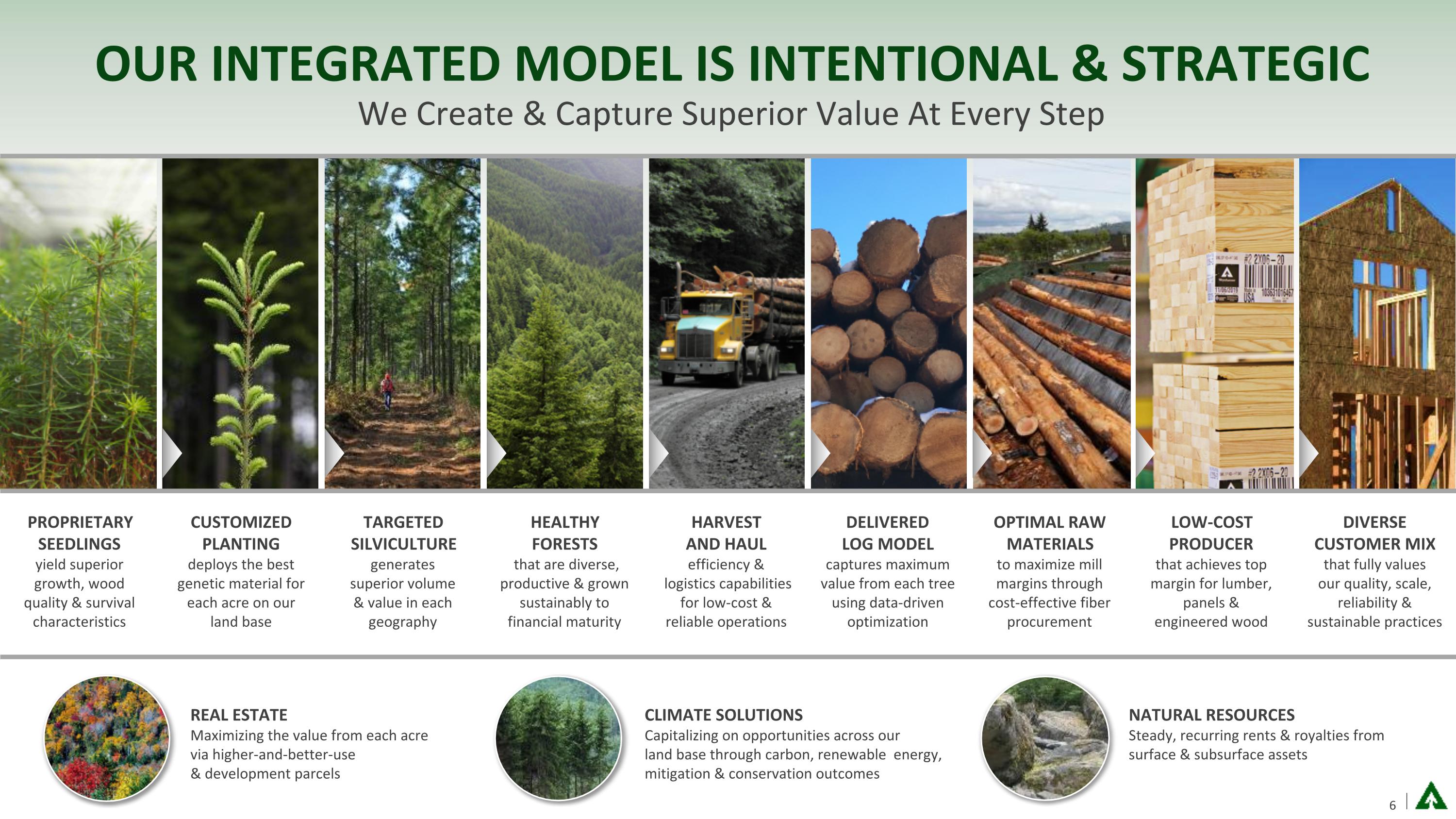 Slide 6
