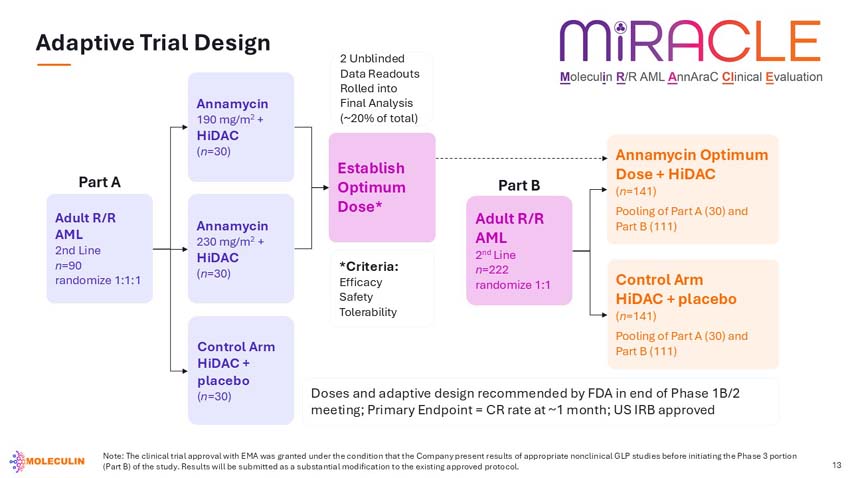 slide13.jpg