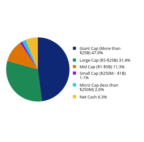 Pie Chart showing Group By Market Capital Weightings