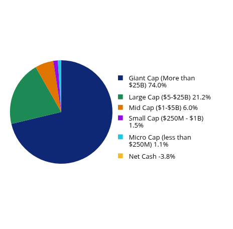 Pie Chart showing Group By Market Capital Weightings