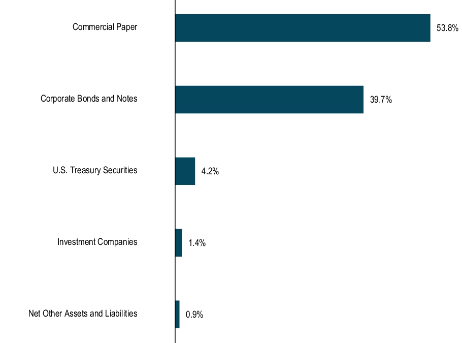 Graphical Representation - Allocation 1 Chart