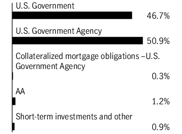 Graphical Representation - Allocation 1 Chart