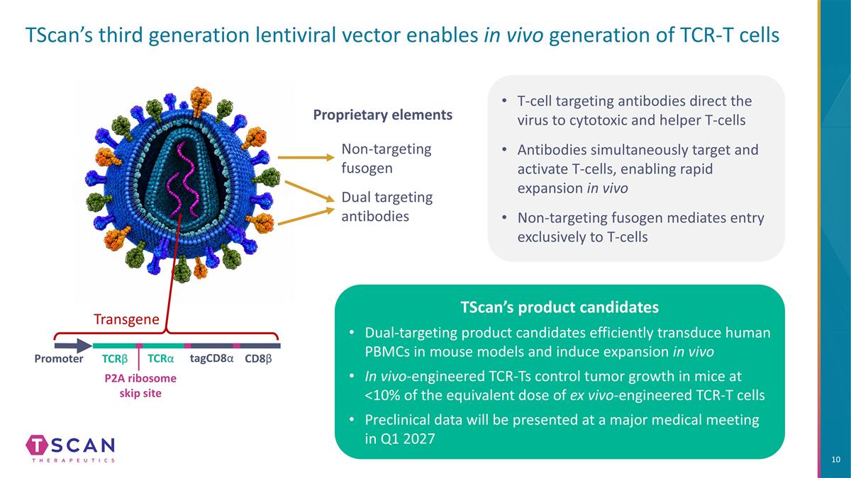 Slide 10