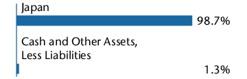 Graphical Representation - Allocation 1 Chart