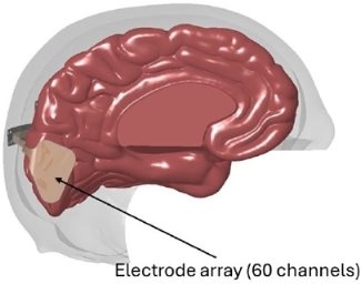 Image3
