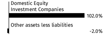 Graphical Representation - Allocation 1 Chart