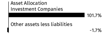 Graphical Representation - Allocation 1 Chart