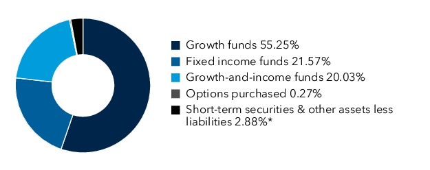 Graphical Representation - Allocation 1 Chart