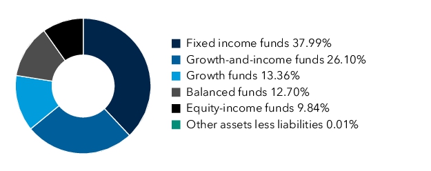 Graphical Representation - Allocation 1 Chart