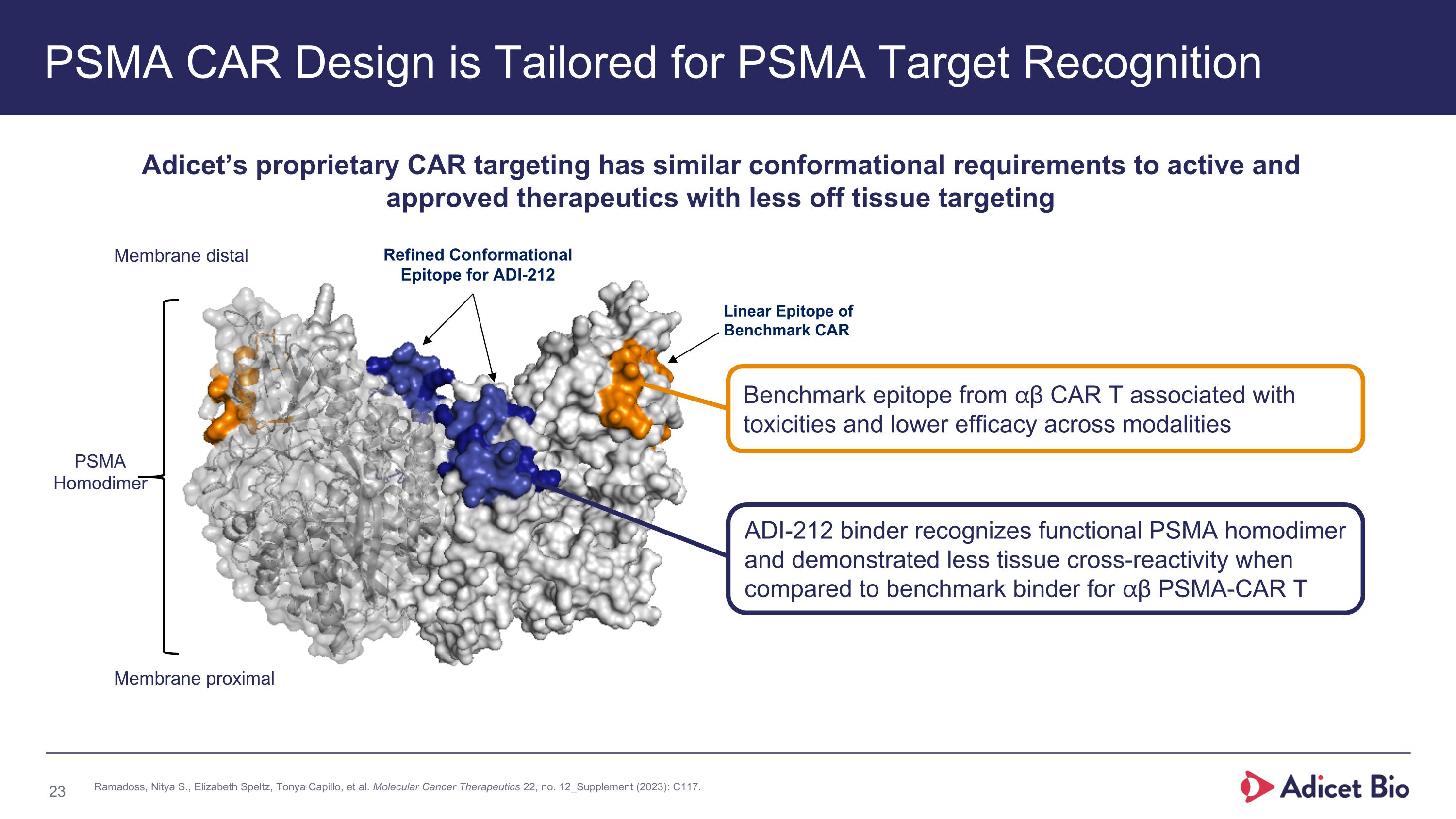 Slide 23