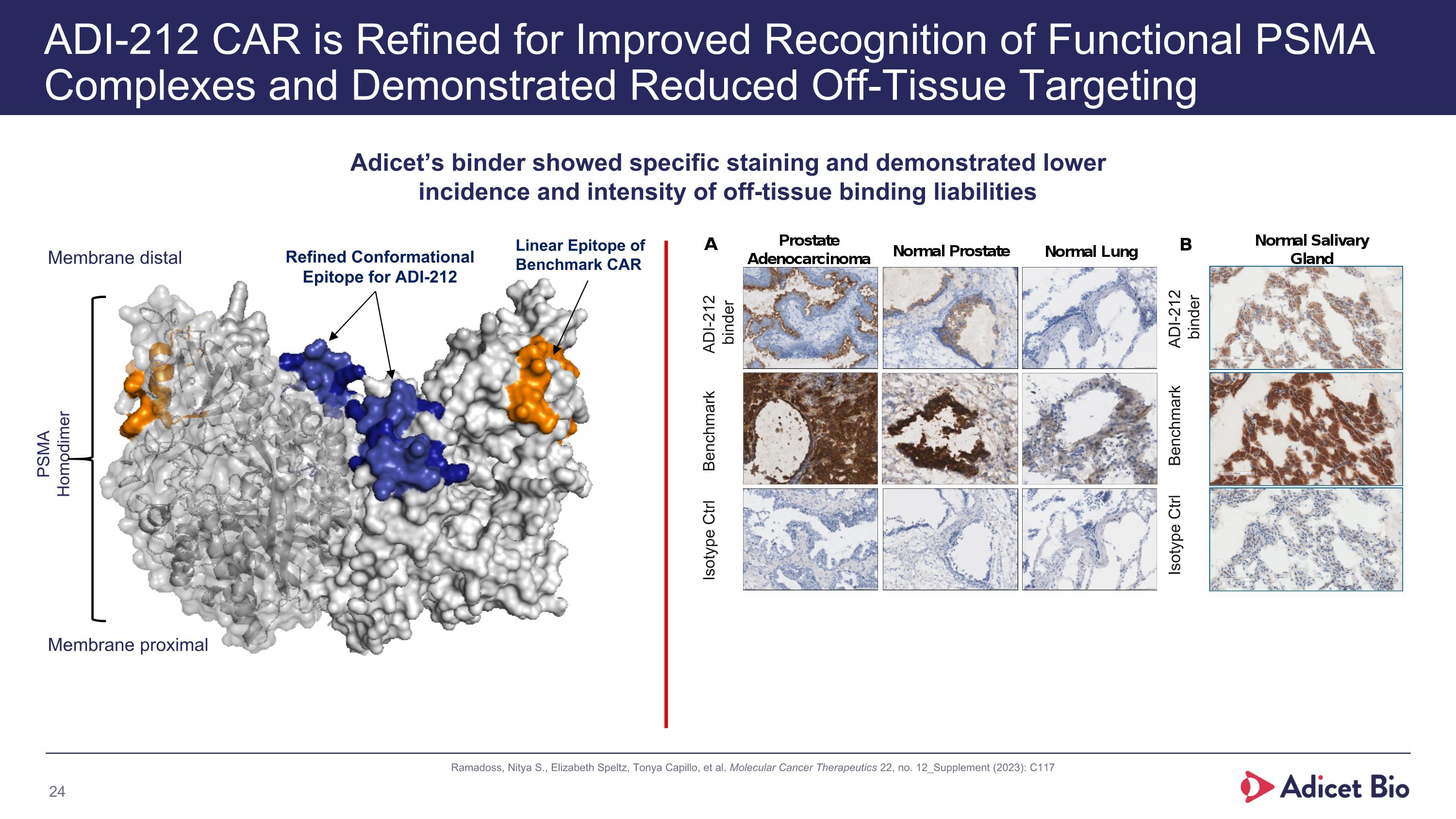 Slide 24
