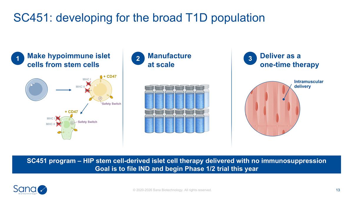 Slide 13